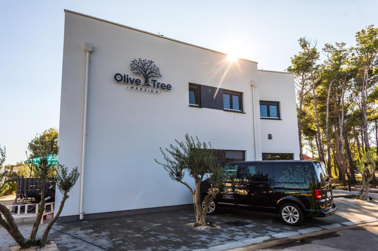 Apartment Olive Tree Mansion