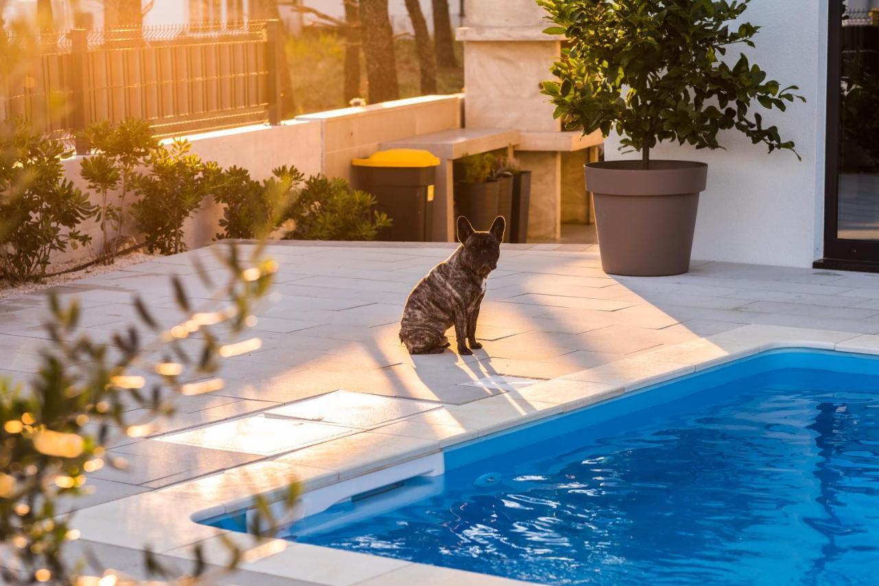 Olive Tree Mansion * Vir
